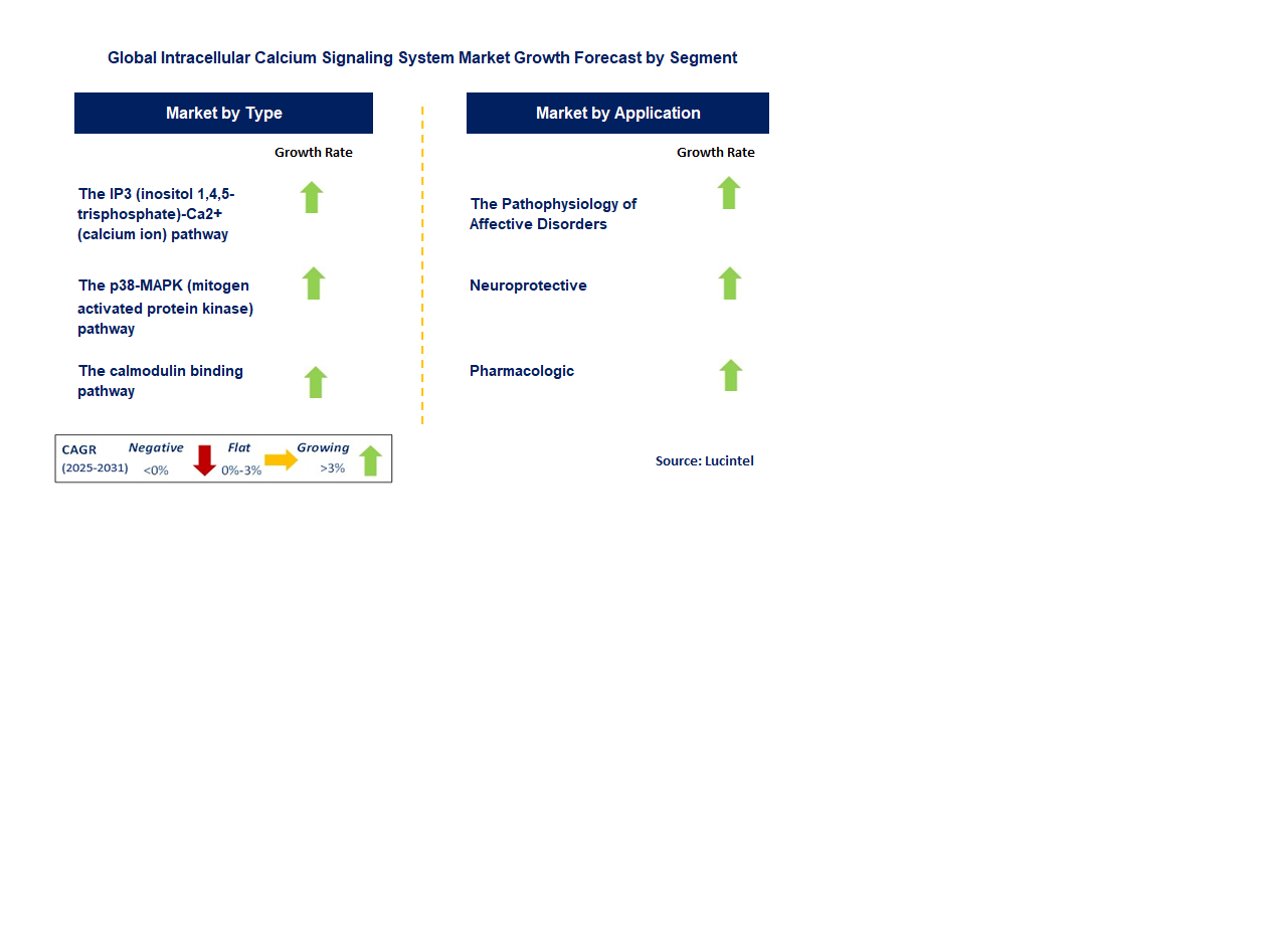 Intracellular Calcium Signaling System Market by Segment